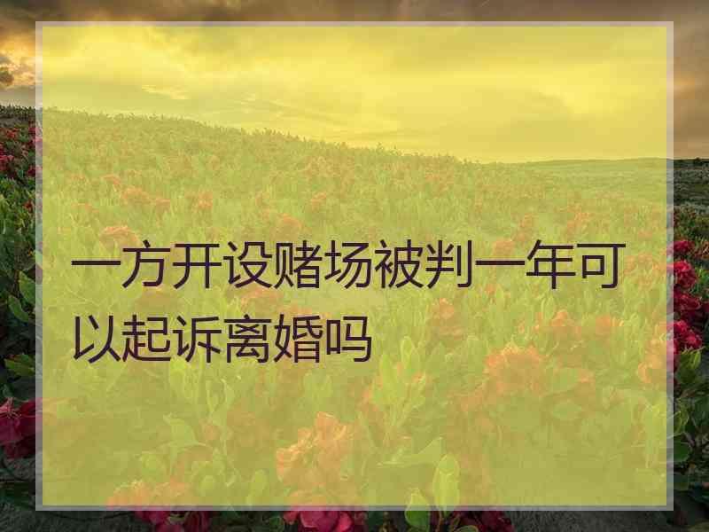 一方开设赌场被判一年可以起诉离婚吗