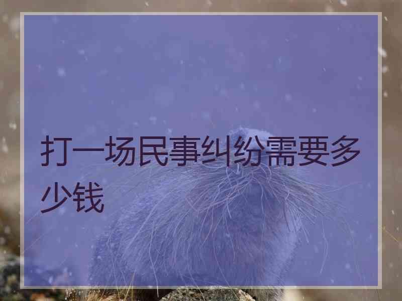 打一场民事纠纷需要多少钱