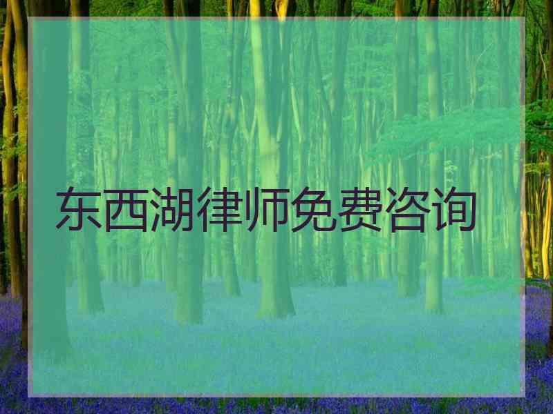 东西湖律师免费咨询