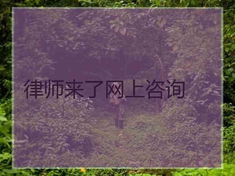 律师来了网上咨询