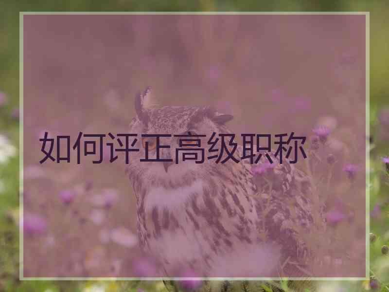 如何评正高级职称