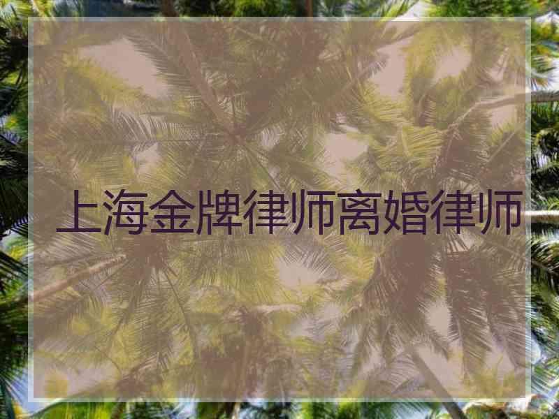 上海金牌律师离婚律师