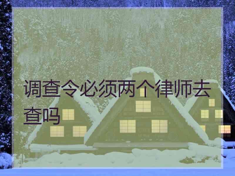 调查令必须两个律师去查吗