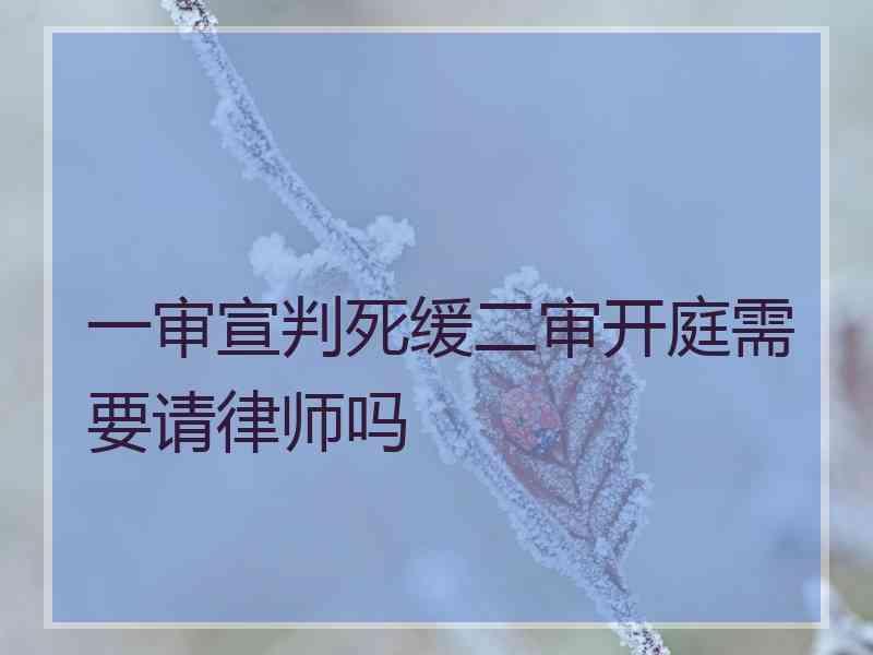 一审宣判死缓二审开庭需要请律师吗