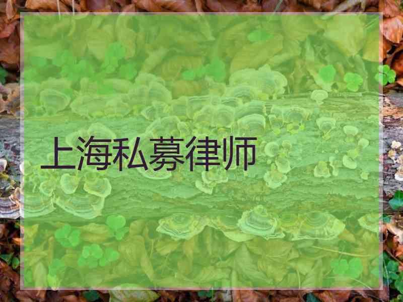 上海私募律师