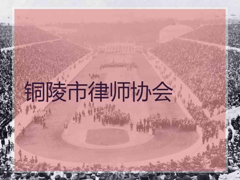 铜陵市律师协会