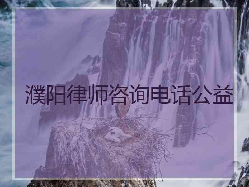 濮阳律师咨询电话公益