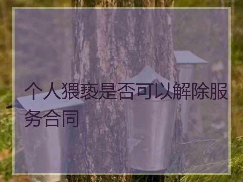 个人猥亵是否可以解除服务合同