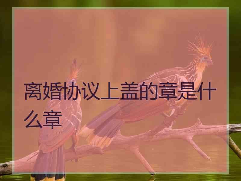 离婚协议上盖的章是什么章