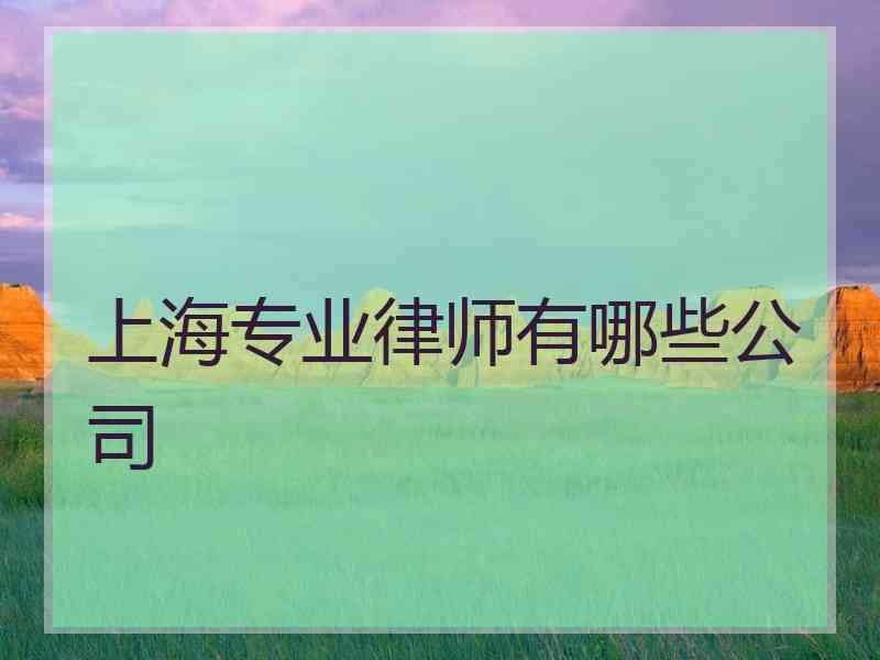 上海专业律师有哪些公司