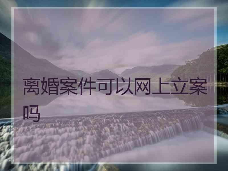 离婚案件可以网上立案吗