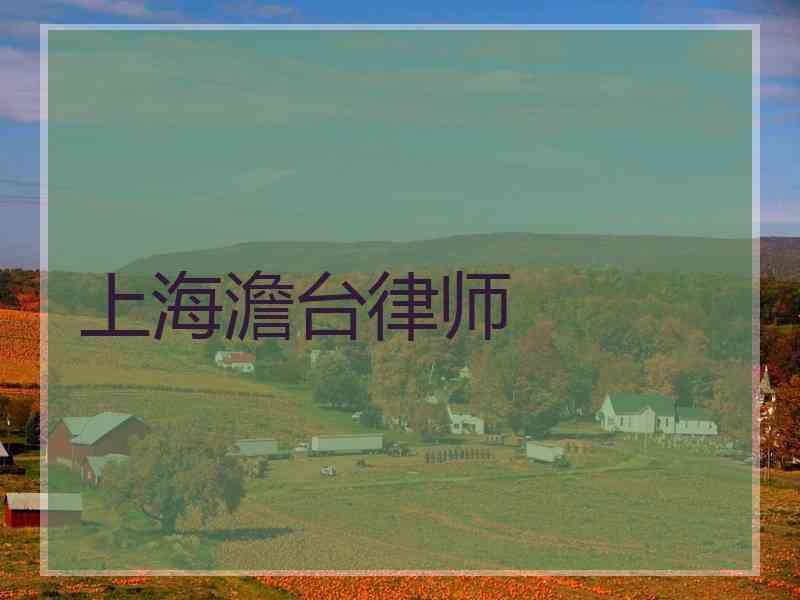 上海澹台律师