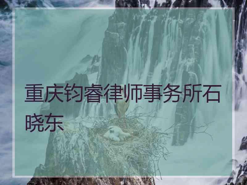 重庆钧睿律师事务所石晓东