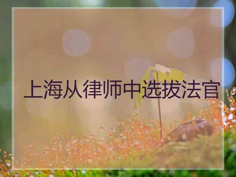 上海从律师中选拔法官