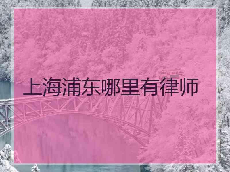 上海浦东哪里有律师