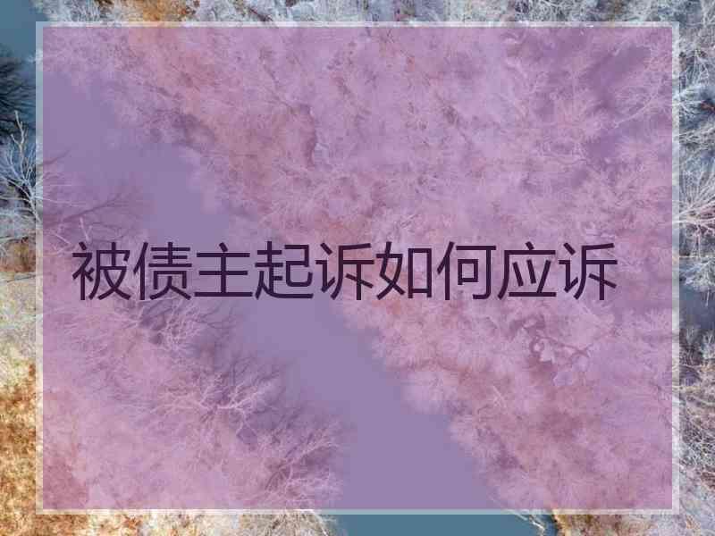 被债主起诉如何应诉