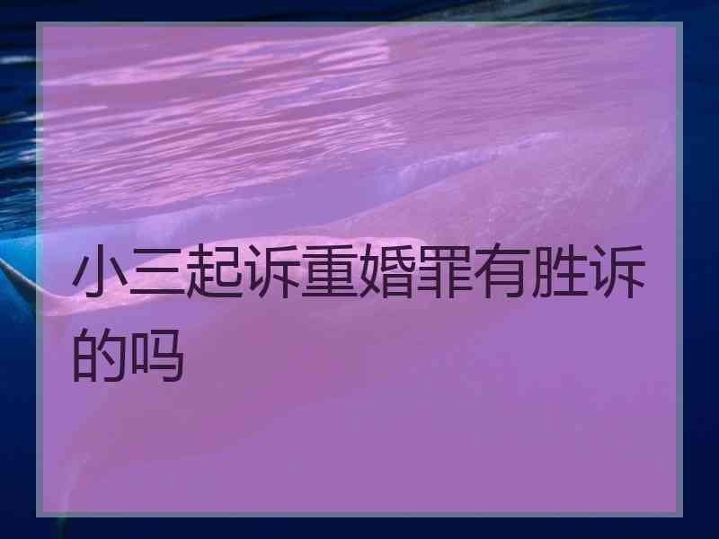 小三起诉重婚罪有胜诉的吗