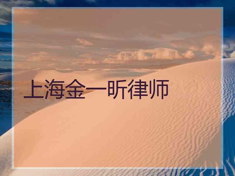 上海金一昕律师
