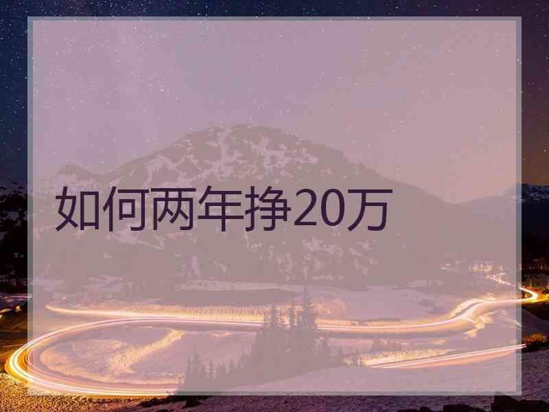 如何两年挣20万