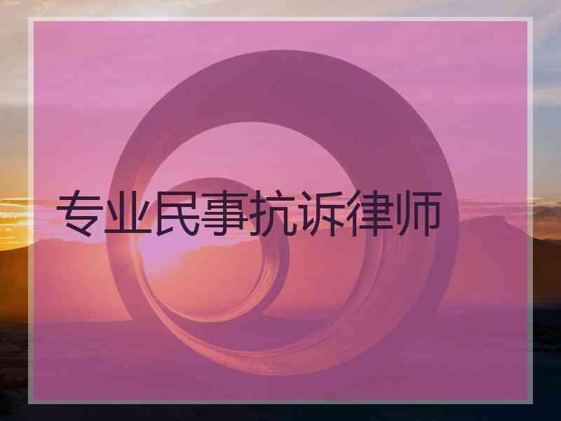 专业民事抗诉律师