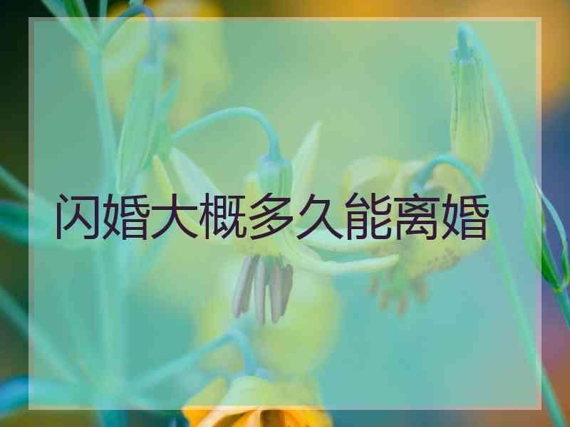 闪婚大概多久能离婚