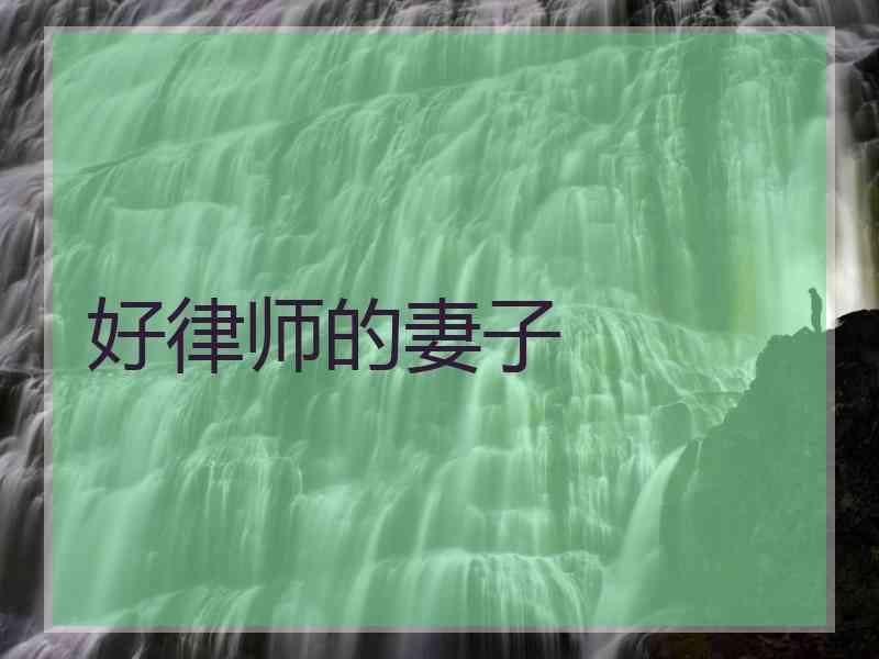 好律师的妻子