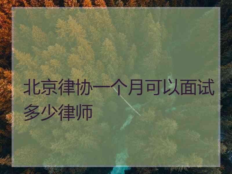 北京律协一个月可以面试多少律师