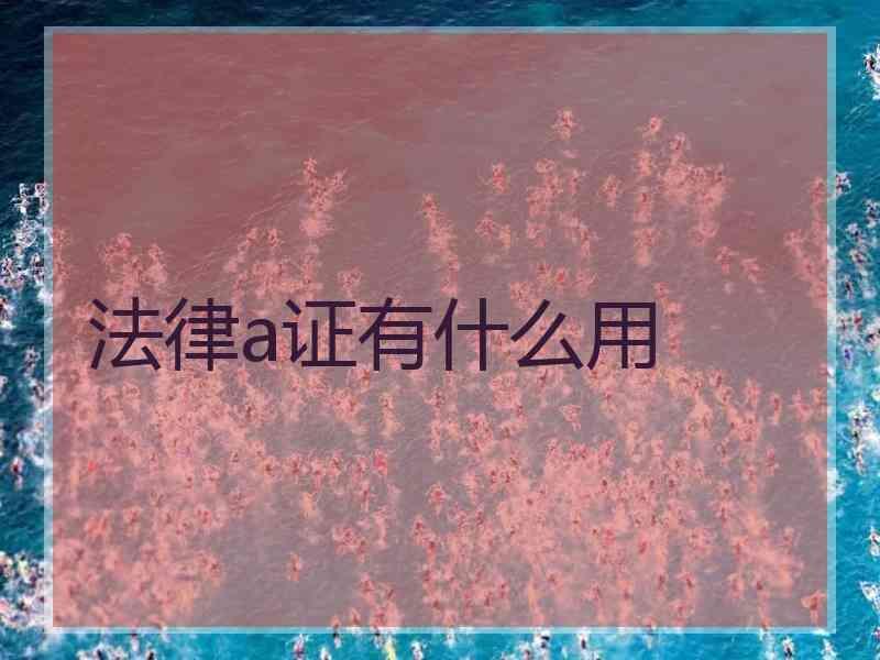 法律a证有什么用