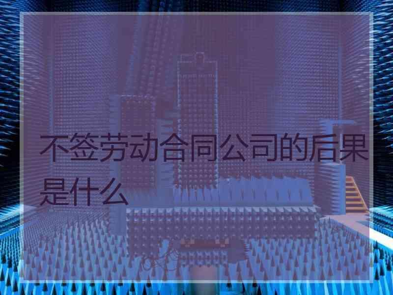 不签劳动合同公司的后果是什么