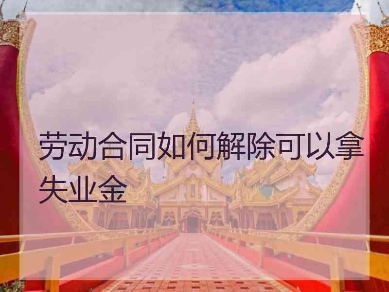 劳动合同如何解除可以拿失业金