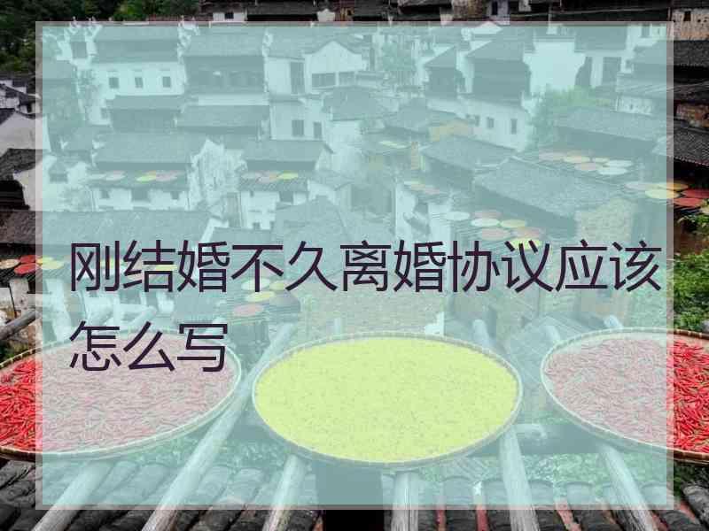 刚结婚不久离婚协议应该怎么写
