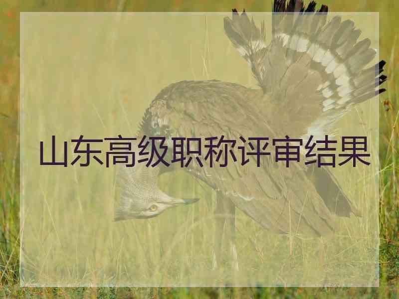 山东高级职称评审结果