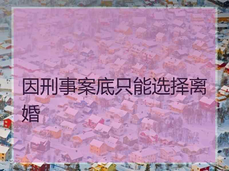 因刑事案底只能选择离婚