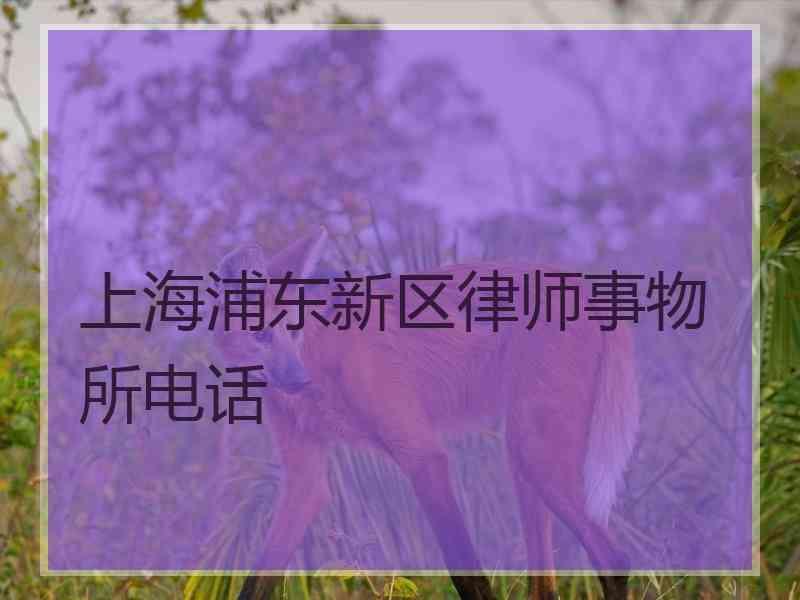 上海浦东新区律师事物所电话