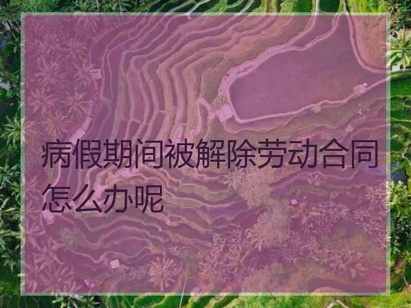 病假期间被解除劳动合同怎么办呢