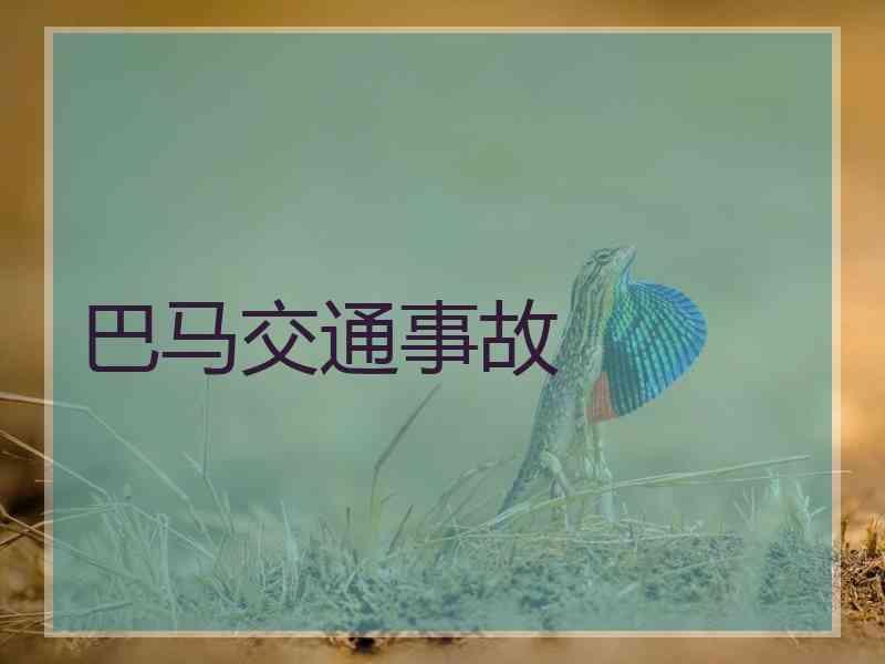 巴马交通事故