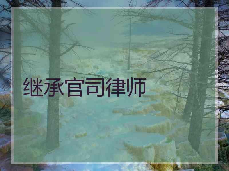 继承官司律师