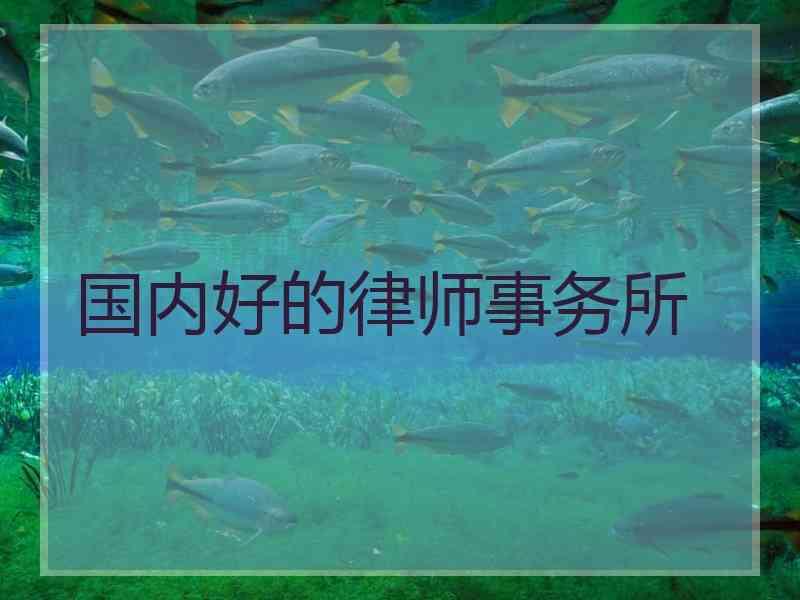 国内好的律师事务所