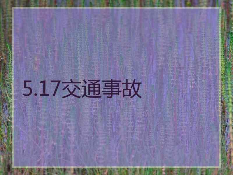 5.17交通事故