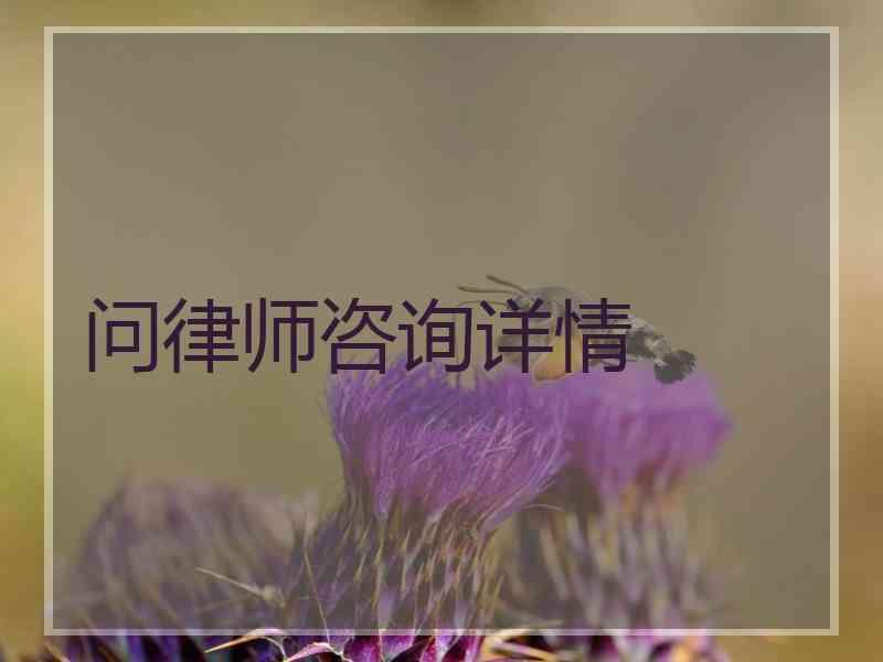 问律师咨询详情