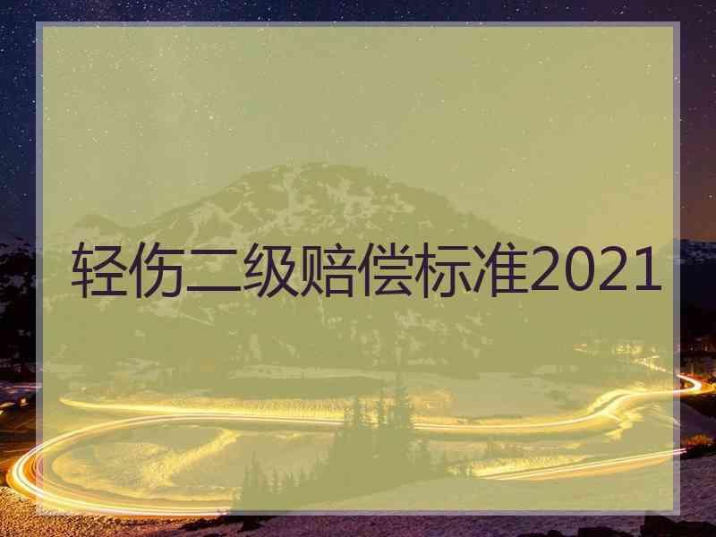 轻伤二级赔偿标准2021