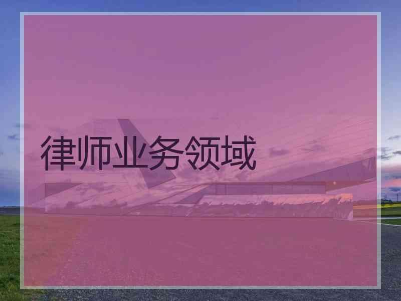 律师业务领域