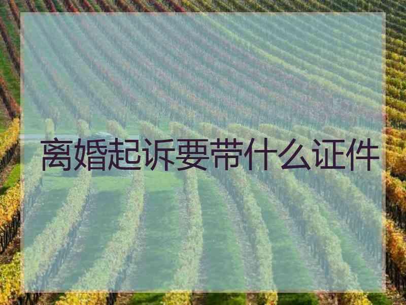 离婚起诉要带什么证件