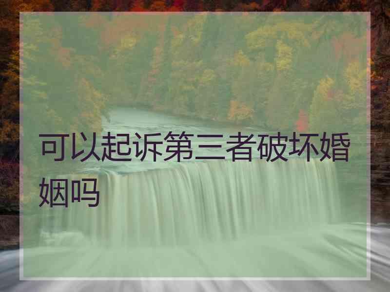 可以起诉第三者破坏婚姻吗