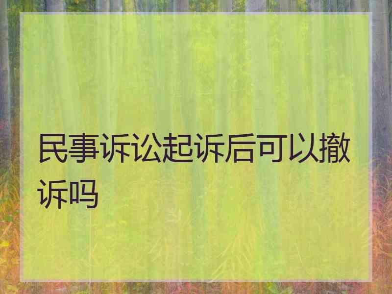 民事诉讼起诉后可以撤诉吗