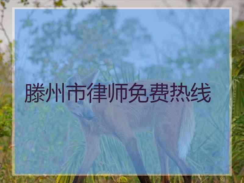 滕州市律师免费热线