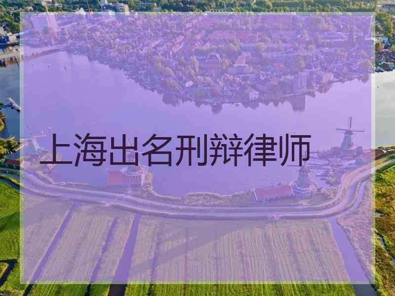 上海出名刑辩律师