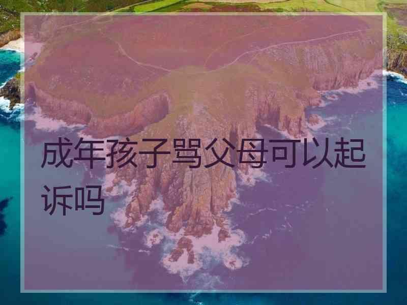 成年孩子骂父母可以起诉吗