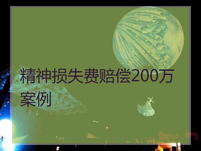 精神损失费赔偿200万案例