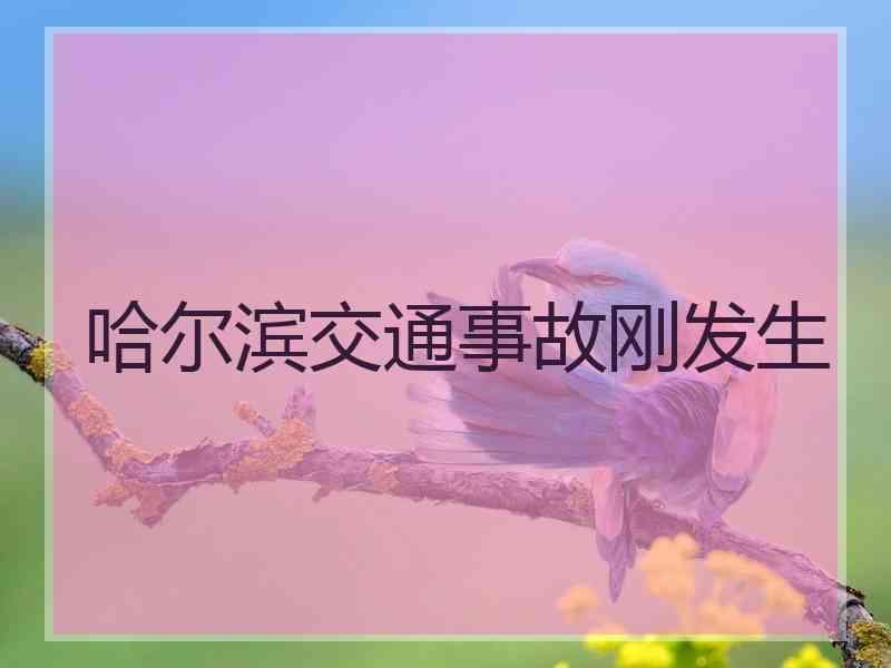 哈尔滨交通事故刚发生